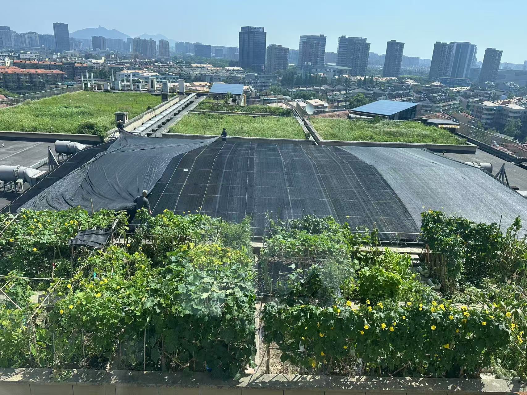 水晶城巧施」刳阳术“，为节能降耗注入清冷动力