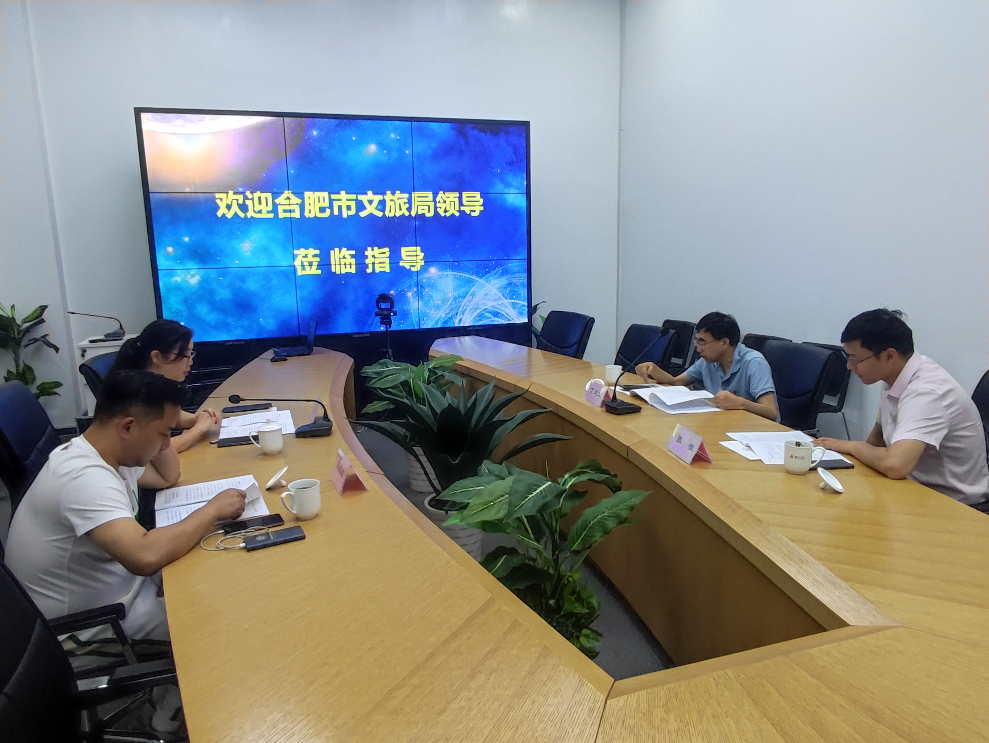 合肥市文化游览局丁大文处长一行光临CQ9电子文创集团调研