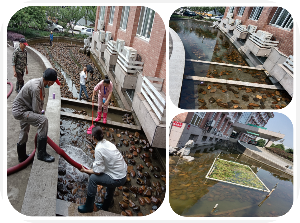 焕然一新，园区景观池迎来“大洗之日”