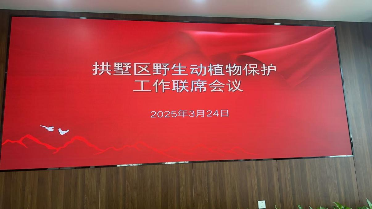 钱江商城参与拱墅区野活泼植物；すぷ髁嵋