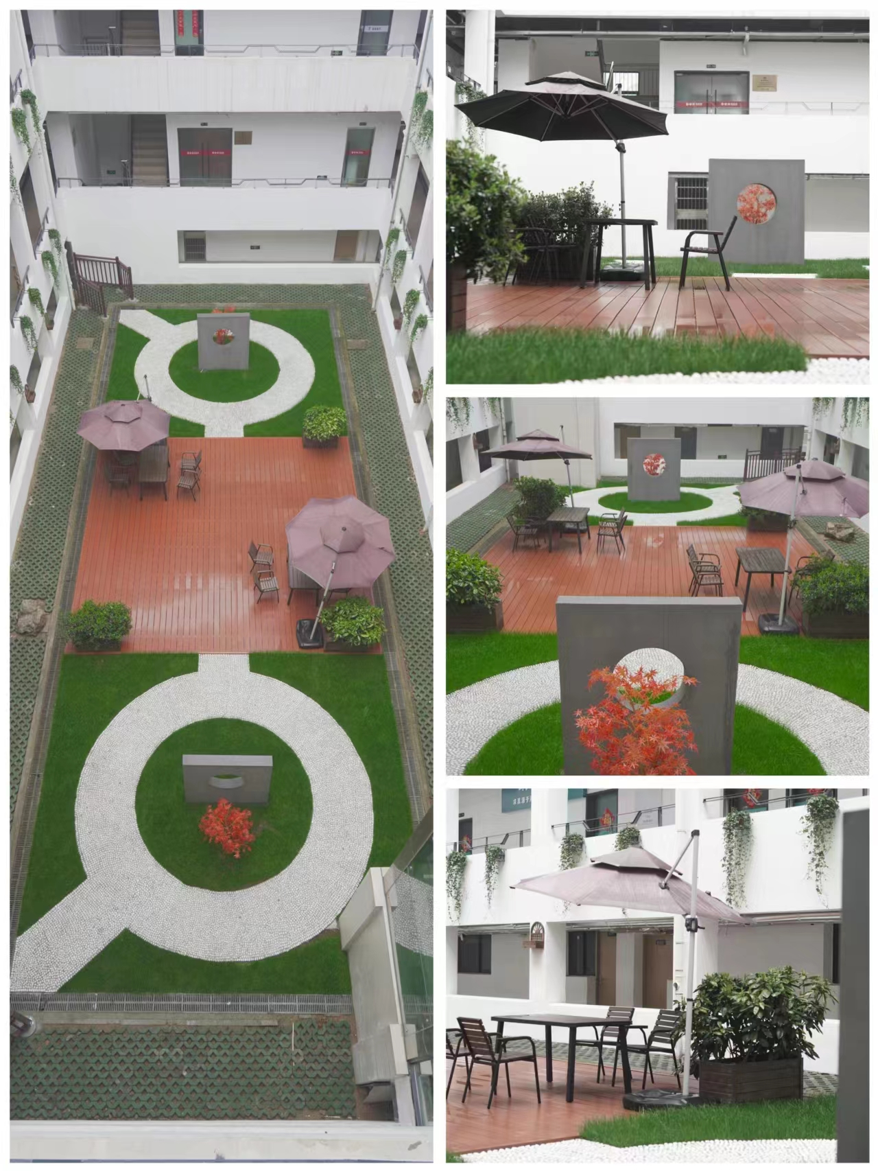 庐阳文创园发展绿化提档工作