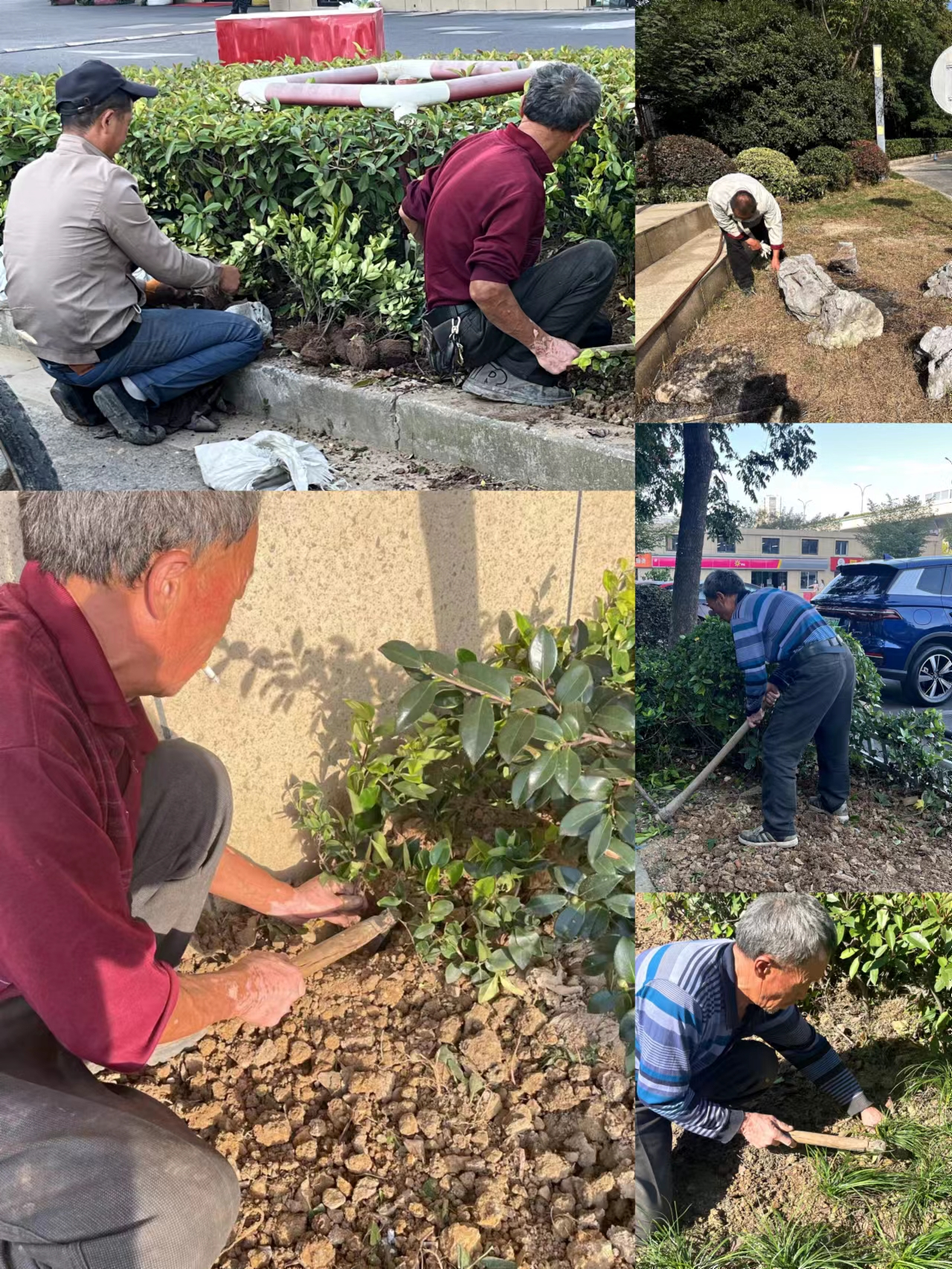 园区环境双升级，焕然新风提水准