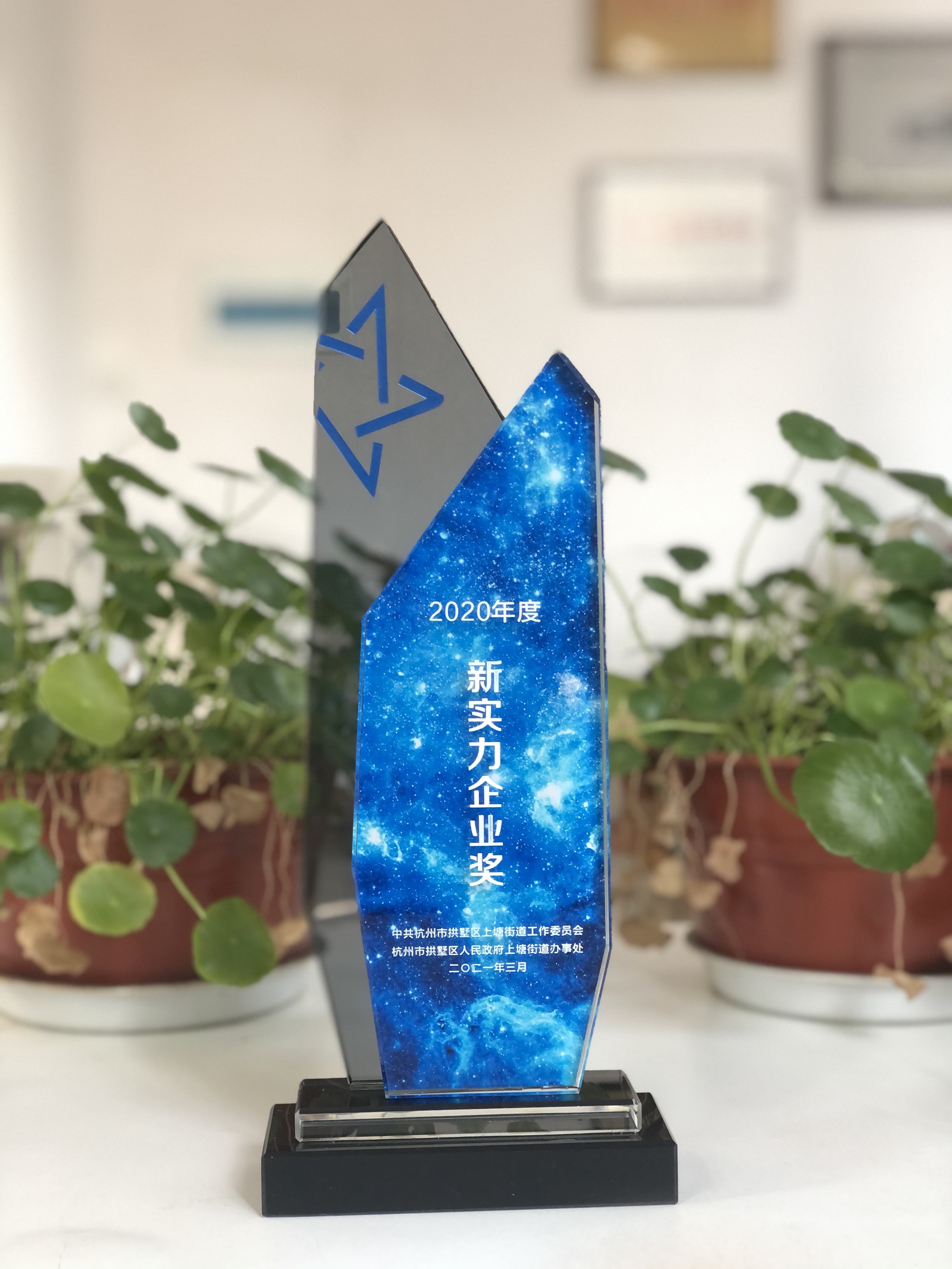 浙江CQ9电子网络科技有限公司荣获“新实力企业奖”